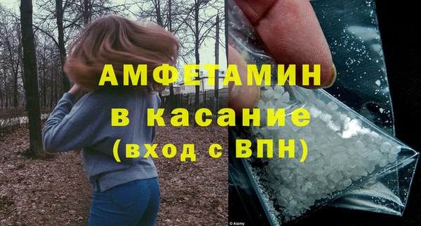 прущие грибы Балахна