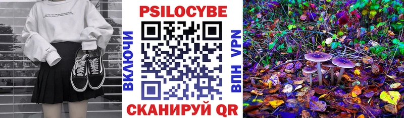 kraken рабочий сайт это телеграм Галлюциногенные грибы Psilocybine cubensis Усолье